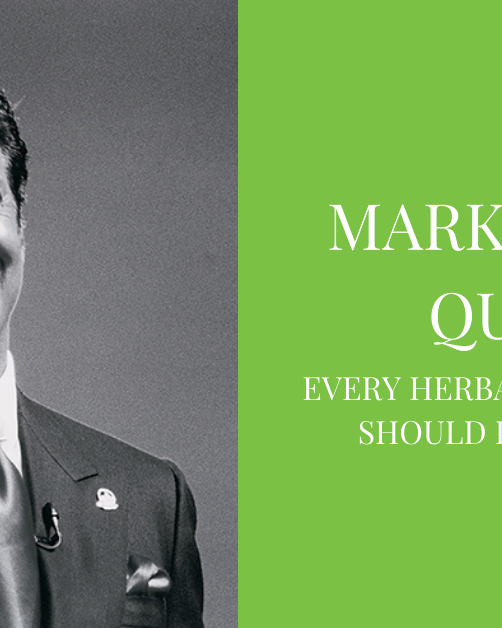 Mark Hughes Quotes